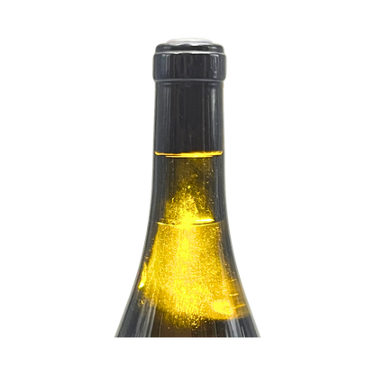 Socaire 2017 «Magnum»