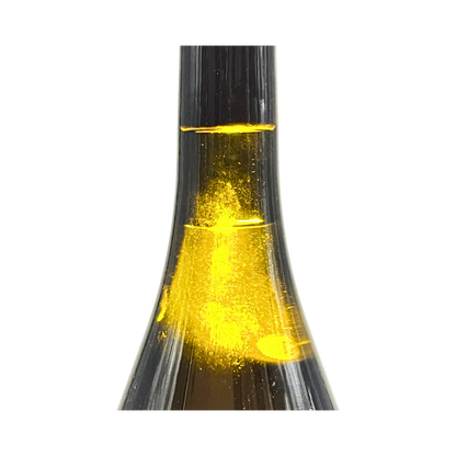 Socaire 2017 «Magnum»