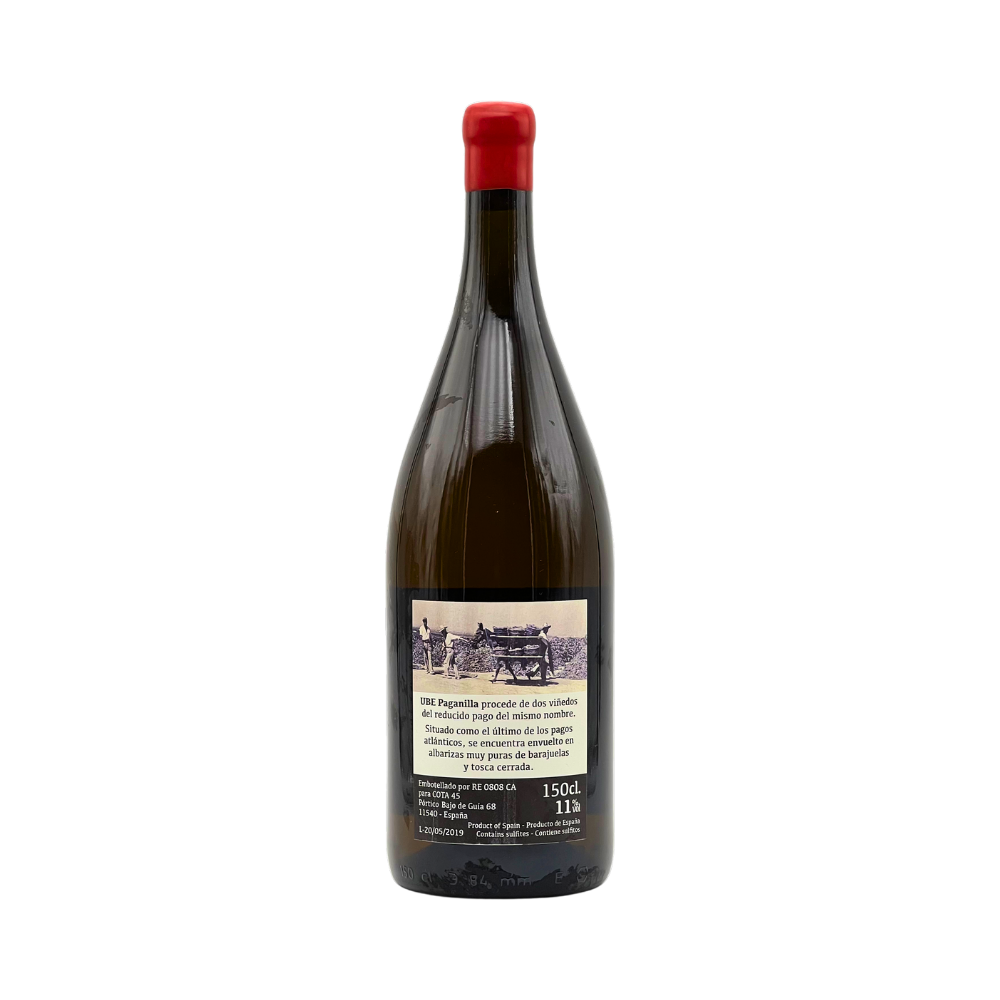 UBE Paganilla 2018 «Magnum»