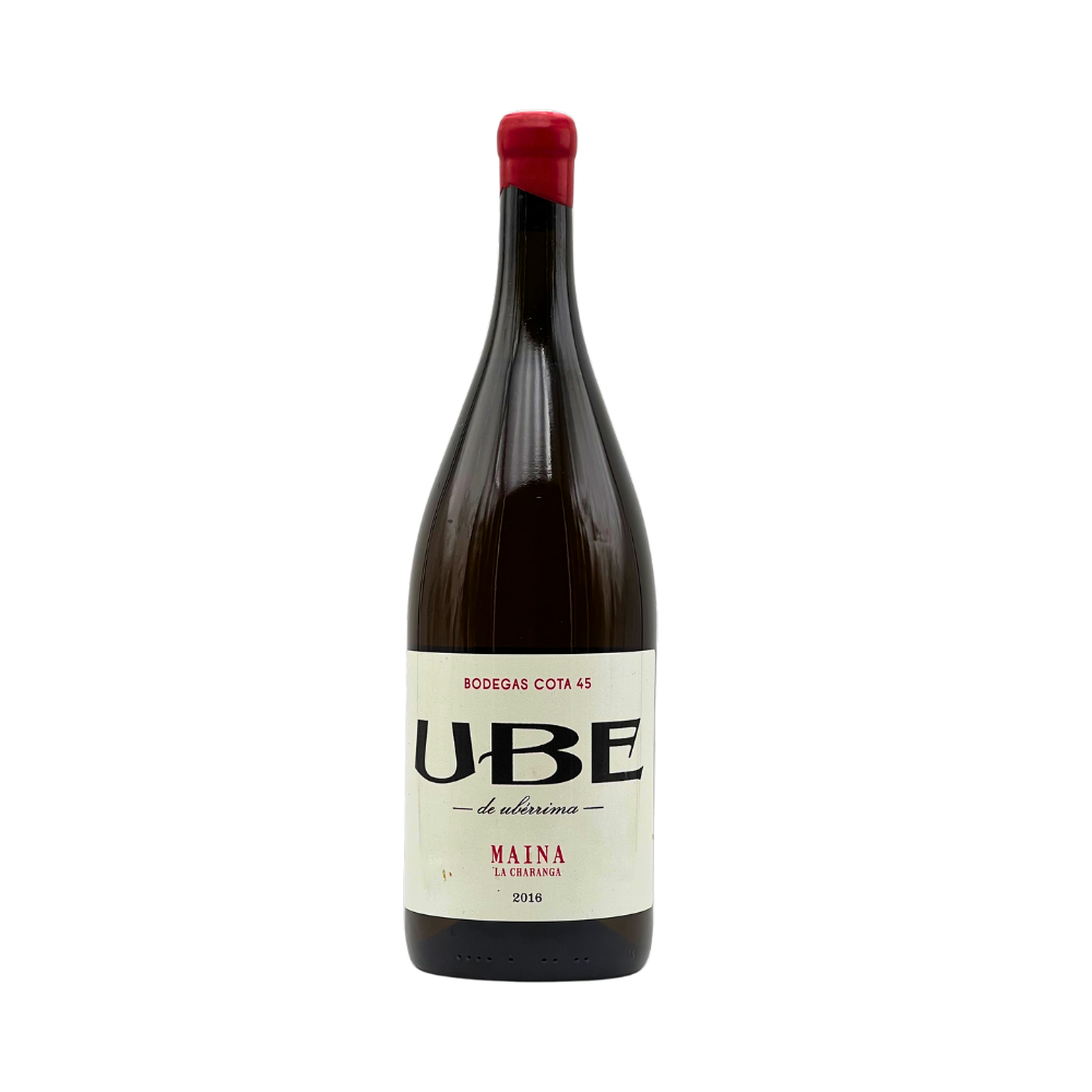 UBE Maina 2016 «Magnum»