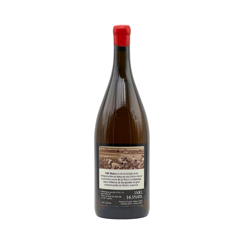UBE Maina 2016 «Magnum»
