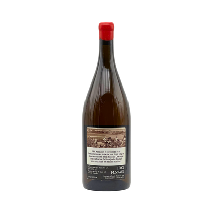 UBE Maina 2016 «Magnum»
