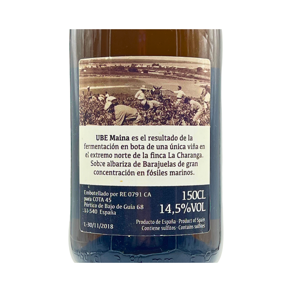 UBE Maina 2016 «Magnum»