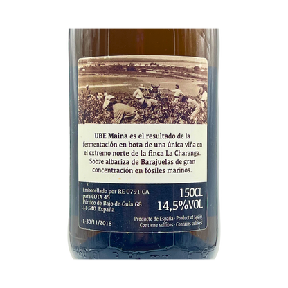 UBE Maina 2016 «Magnum»