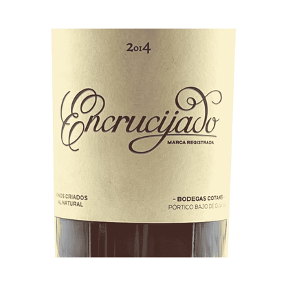 Encrucijado 2014 by Cota 45